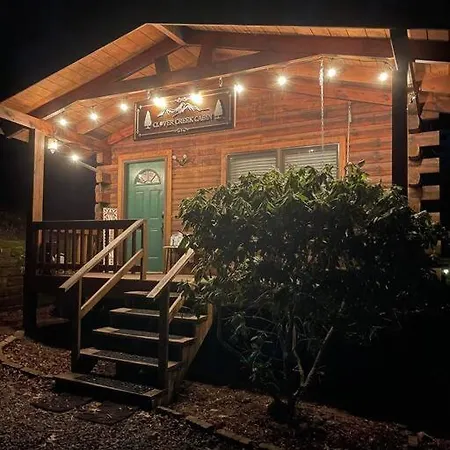 Cozy Creekside Cabin Waynesville Exterior foto